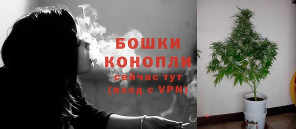 гашик Краснослободск