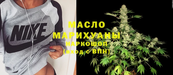 гашик Краснослободск
