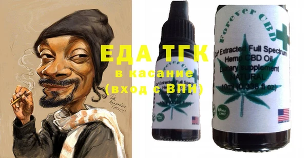 гашик Краснослободск